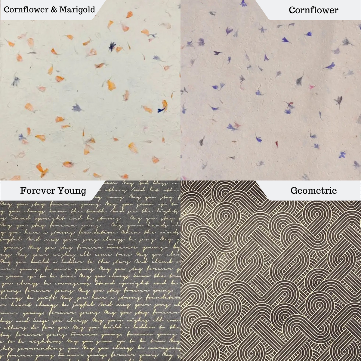 Customizable Coptic Stitch Journal | Print Covers (Multiple Designs)