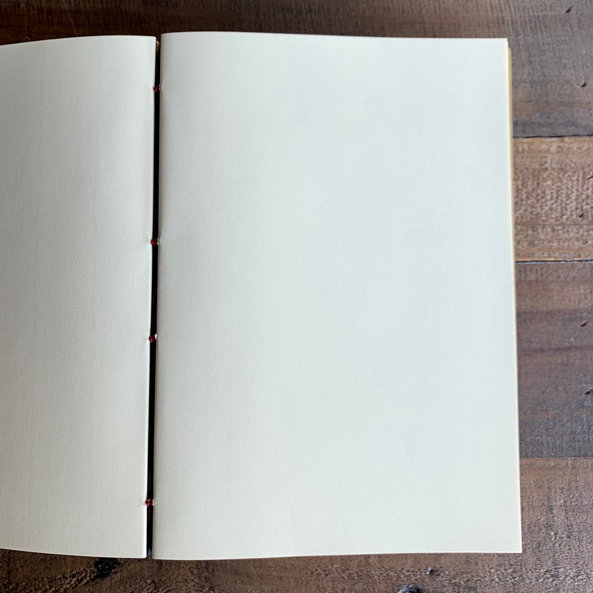 Coptic Journals | Cats